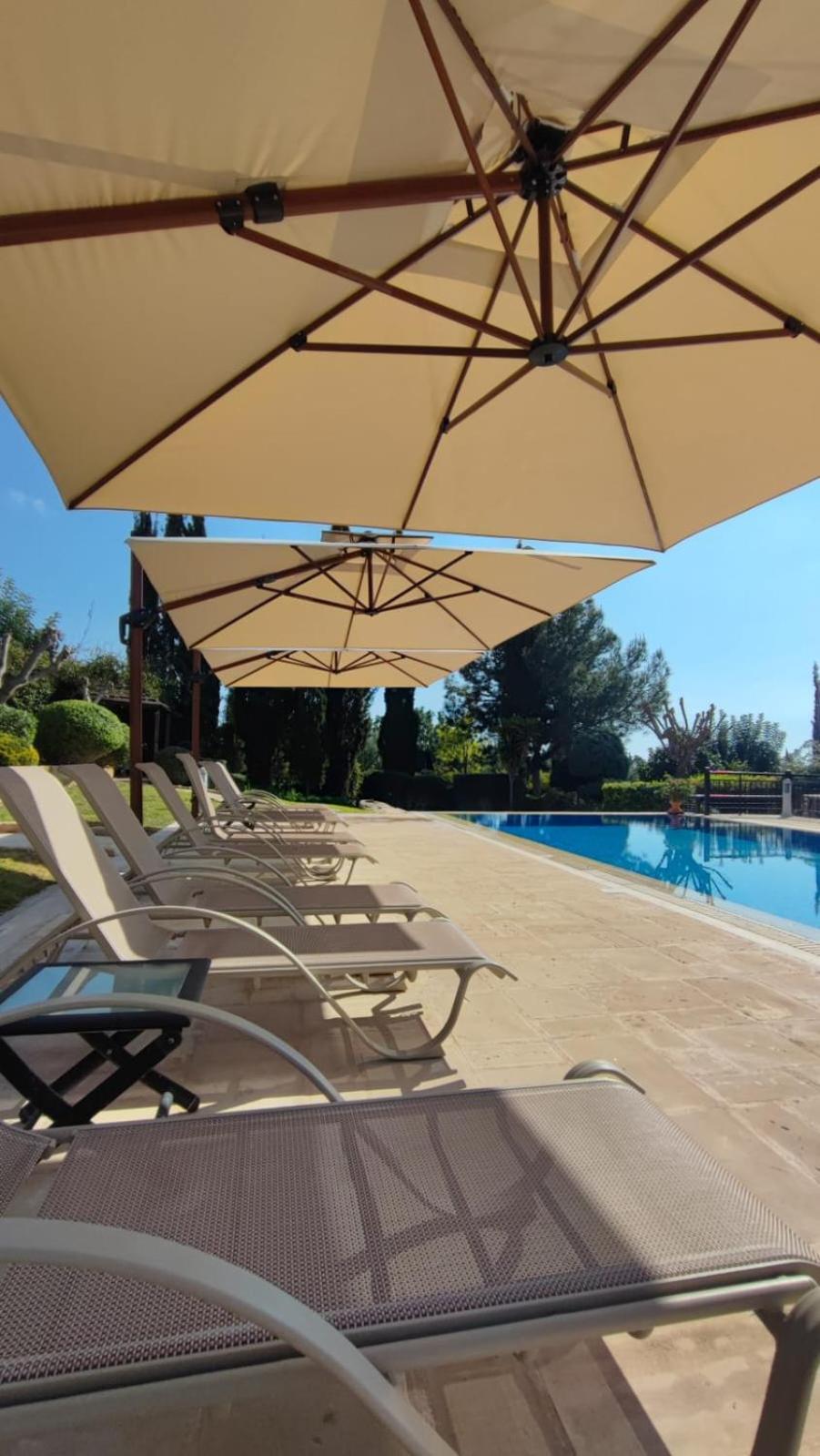 Villa Unidera Kouklia Exteriér fotografie