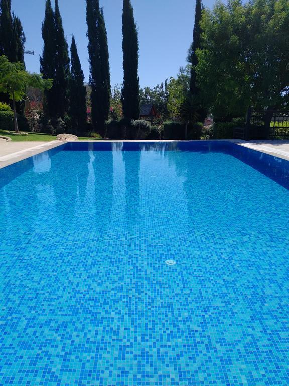 Villa Unidera Kouklia Exteriér fotografie